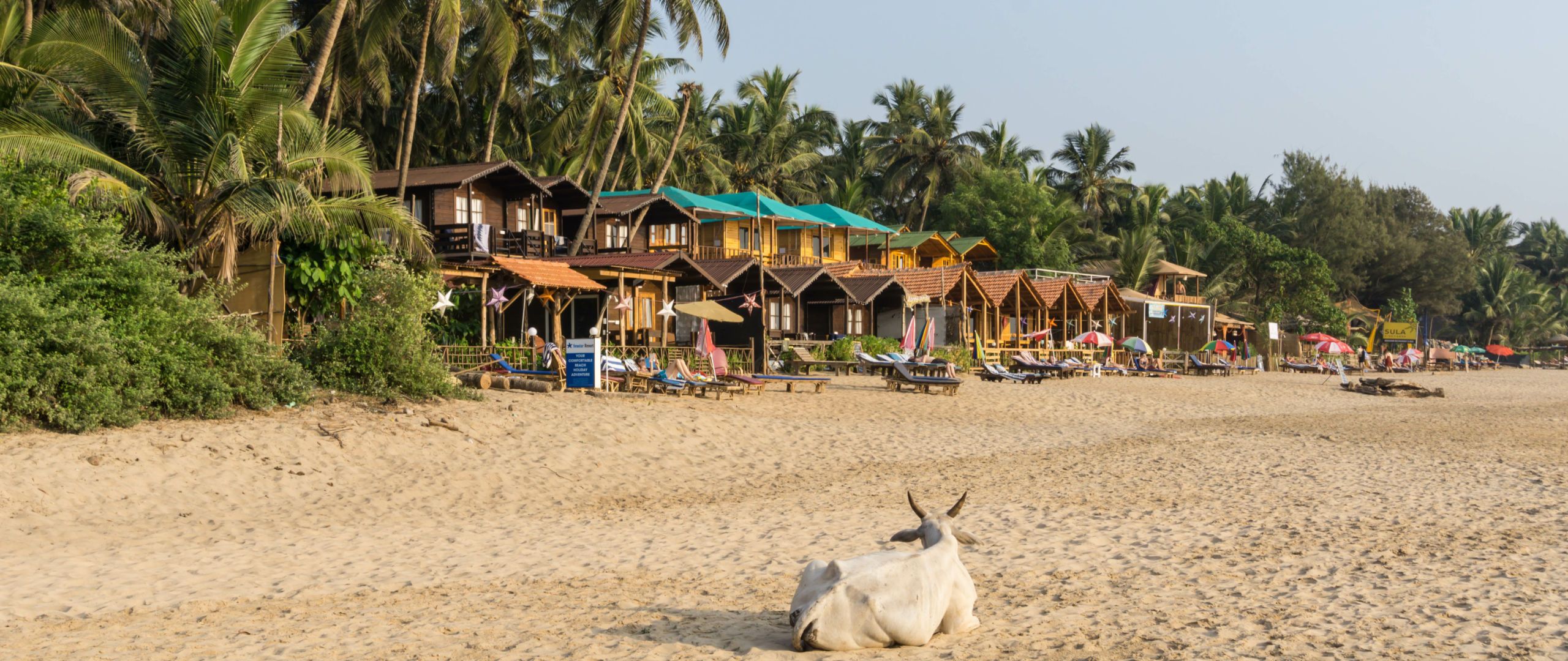 agonda beach