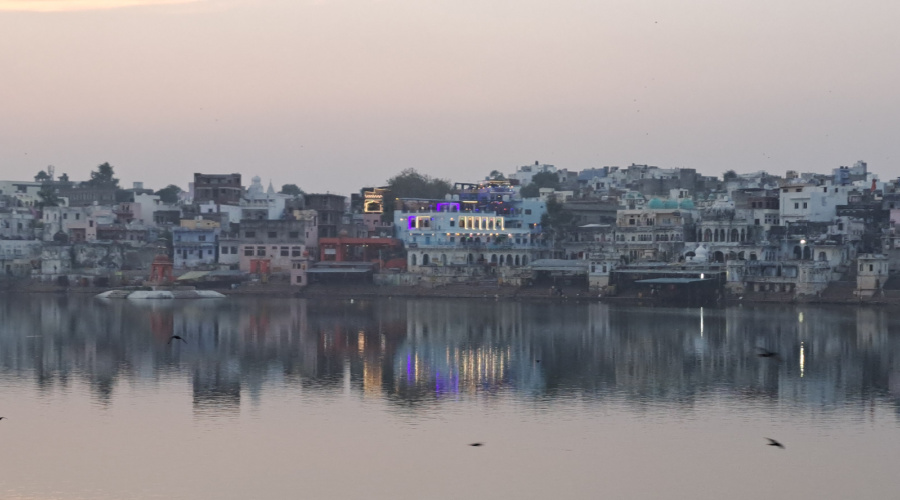 pushkar