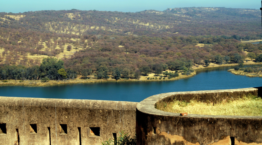 Chittorgarh fort