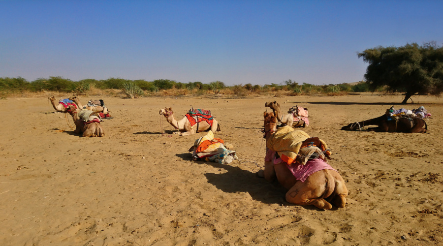 Jaisalmer