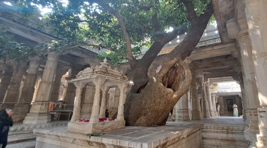 ranakpur jain