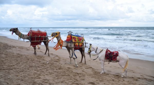 Puri Swargadwar Beach