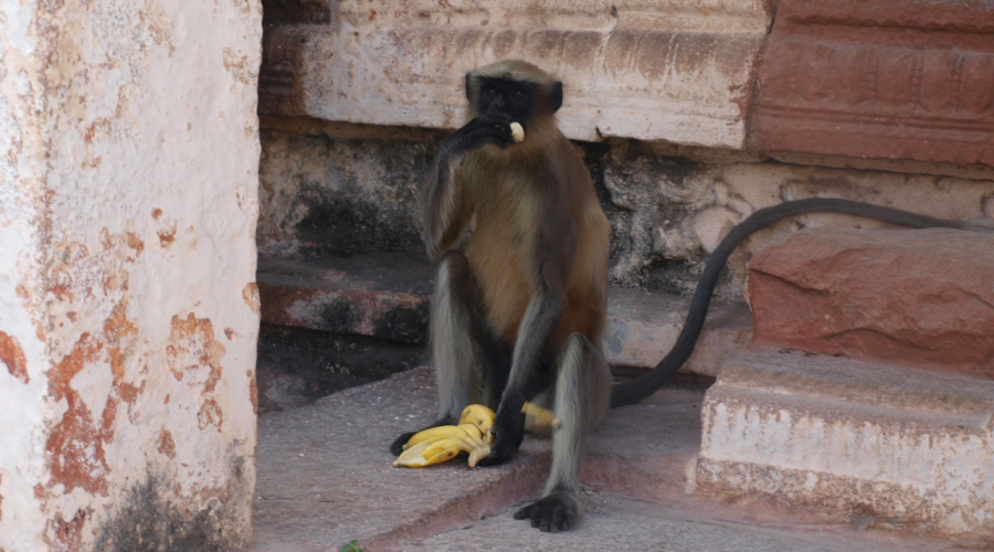 hampi