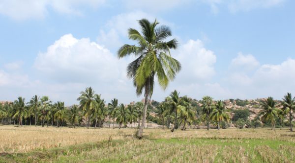 hampi