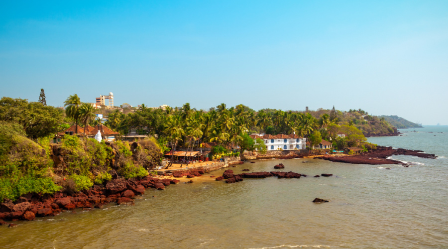 Panaji panjim