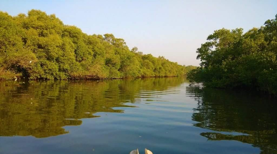 Panaji panjim