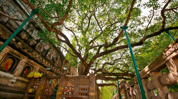 bodh gaya