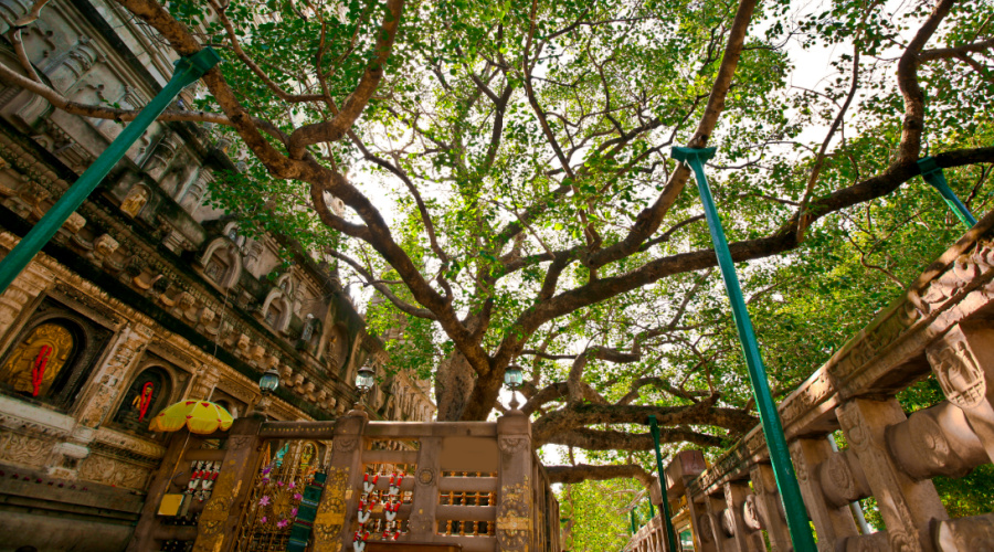 bodh gaya