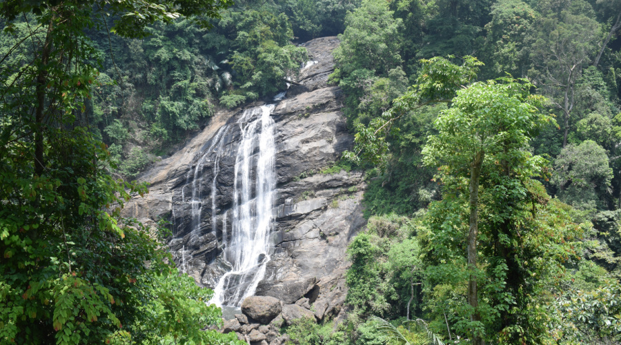 munnar