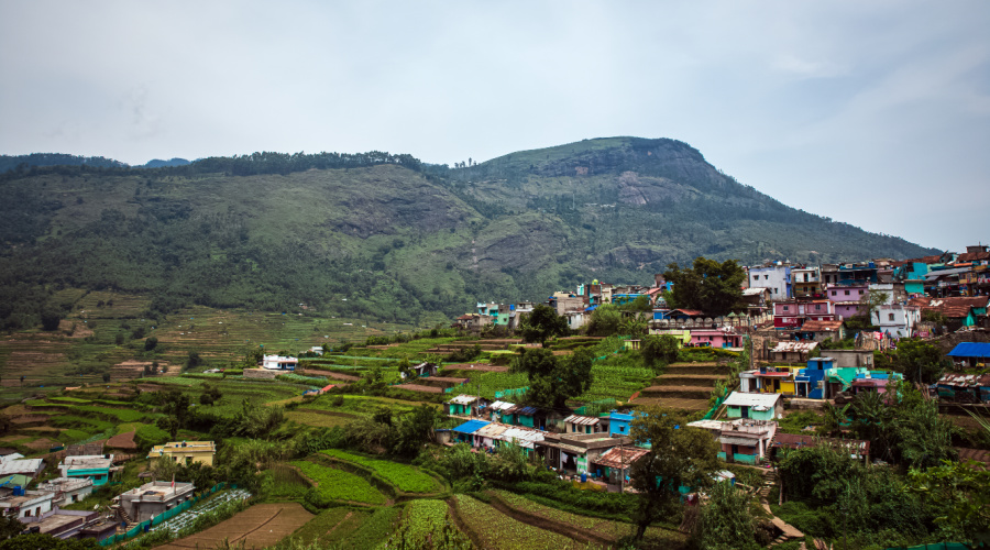 munnar vattavada