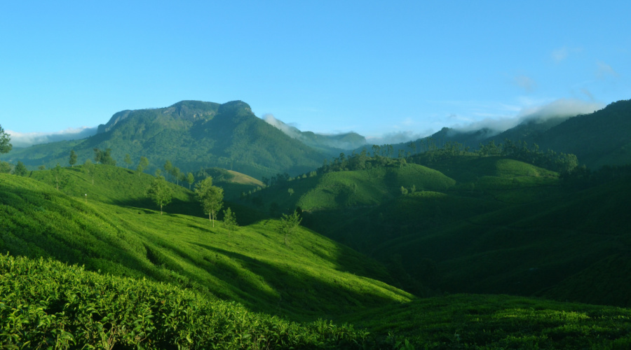 munnar