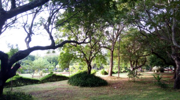 pondicherry puducherry botanische tuin