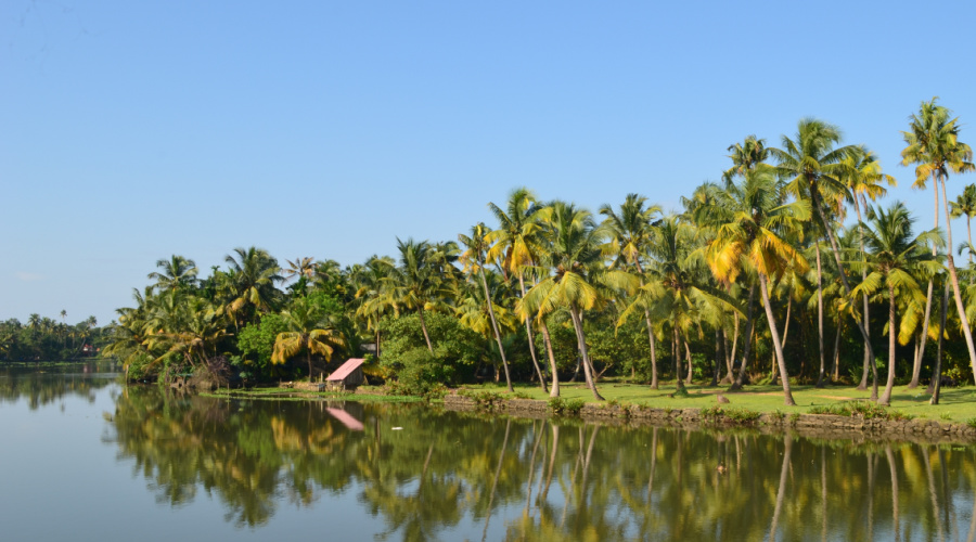 backwaters kerala thiruvallam