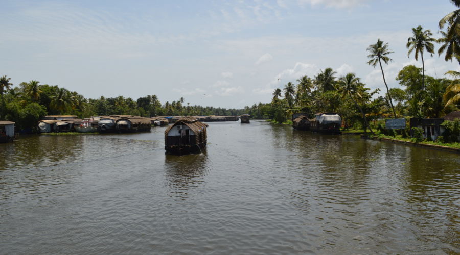 backwaters kerala