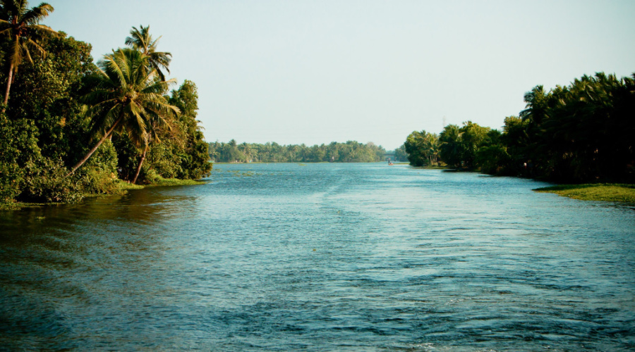 backwaters kerala