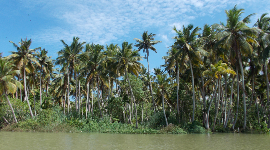 backwaters kerala