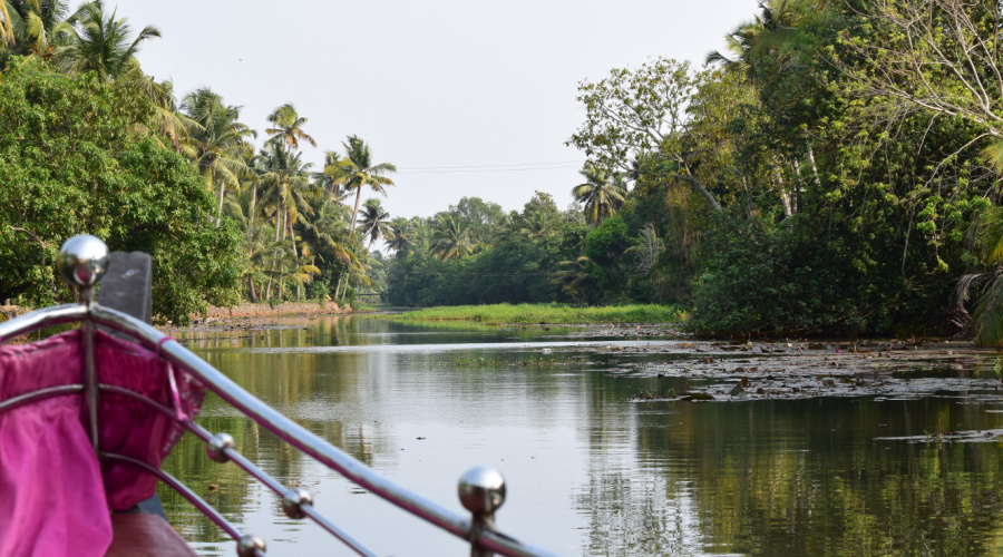 backwaters kerala