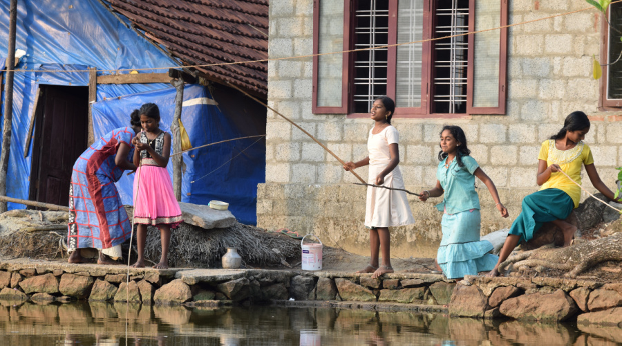 backwaters kerala