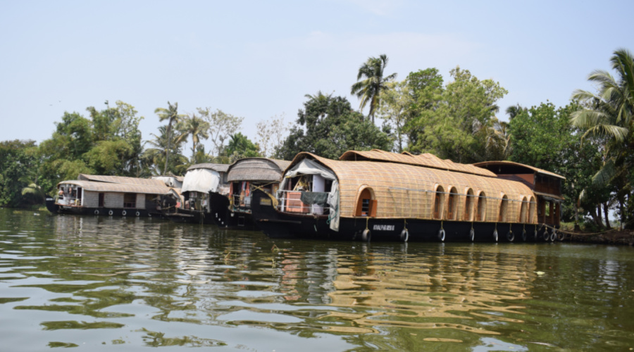 backwaters kerala