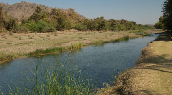 gir national park