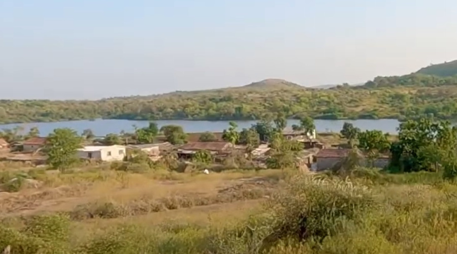 gir national park