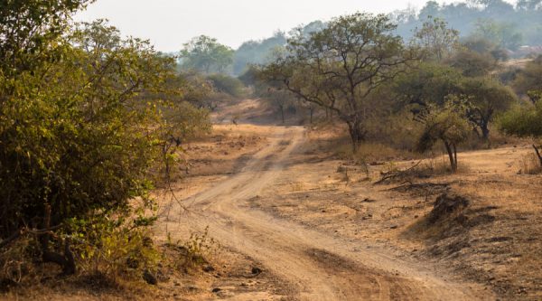 gir national park