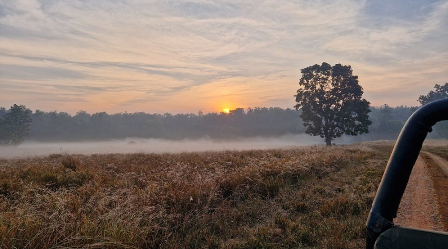 kanha