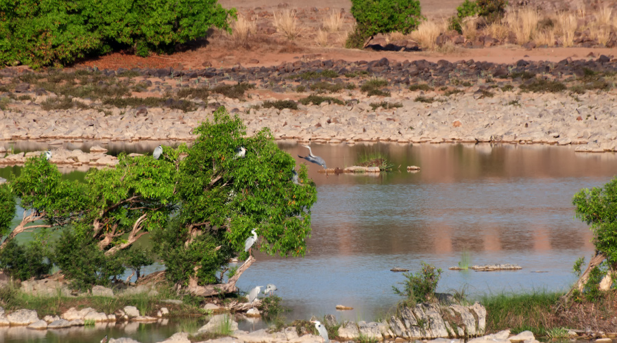 panna national park