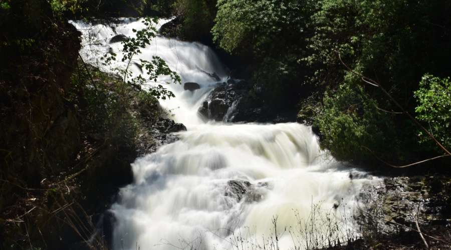 periyar national park