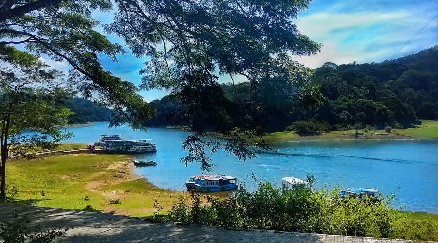 periyar national park