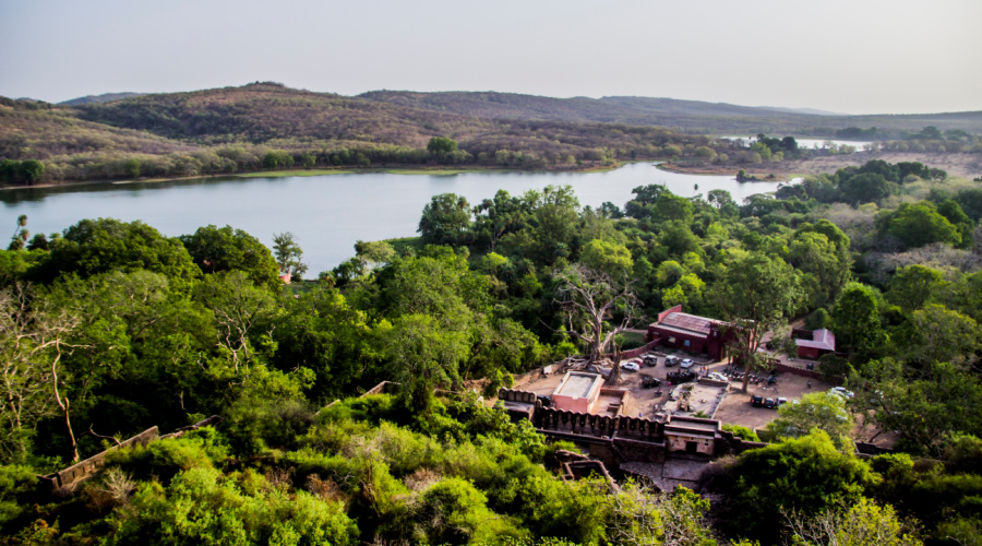 ranthambore