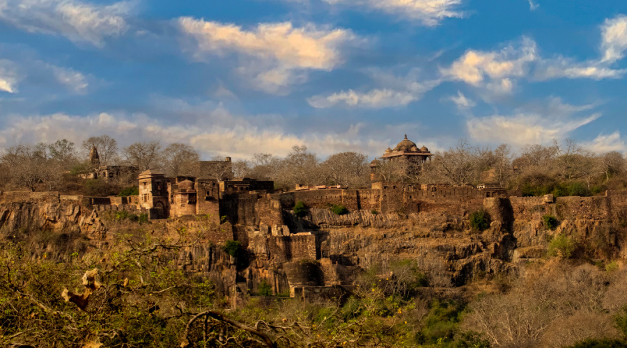 ranthambore