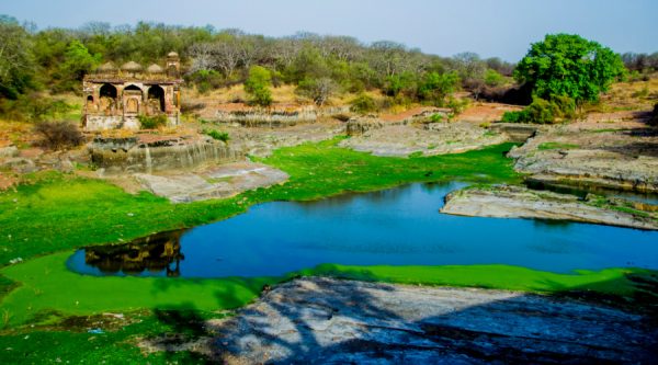 ranthambore