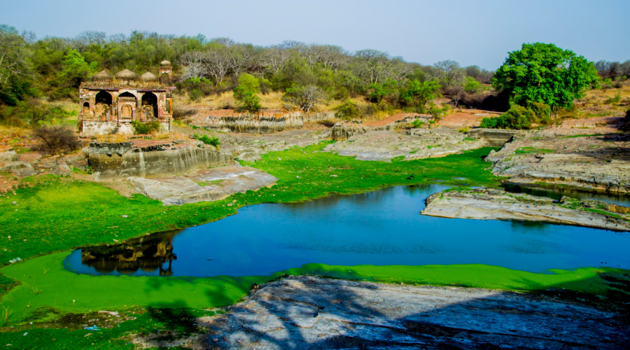 ranthambore