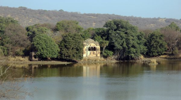 ranthambore raj bagh