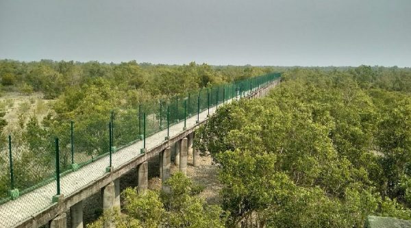 sundarbans