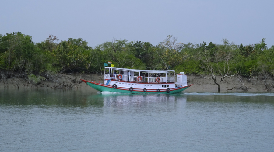 sundarbans