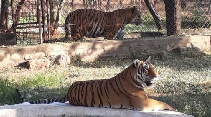 Bhopal Van Vihar National Park