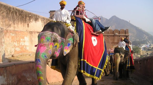 rijden op een olifant in india