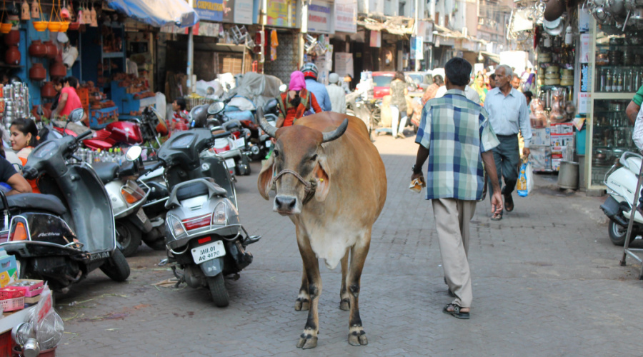 mumbai