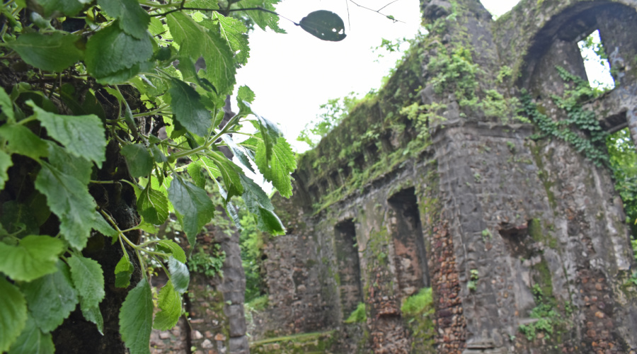 mumbai vasai