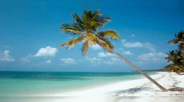 Laccadiven Lakshadweep