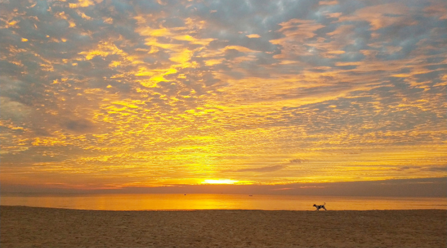 cavelossim beach