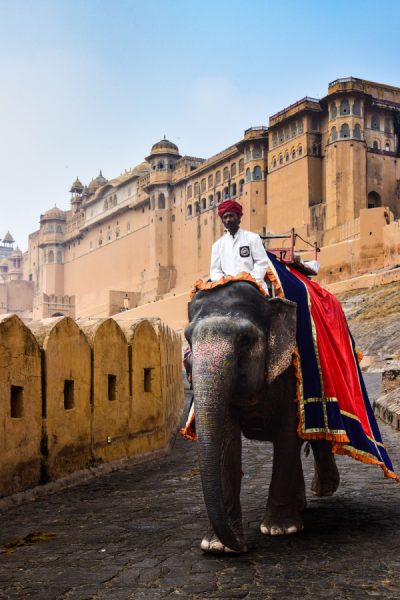 olifant rijden jaipur