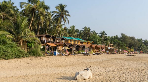 agonda beach