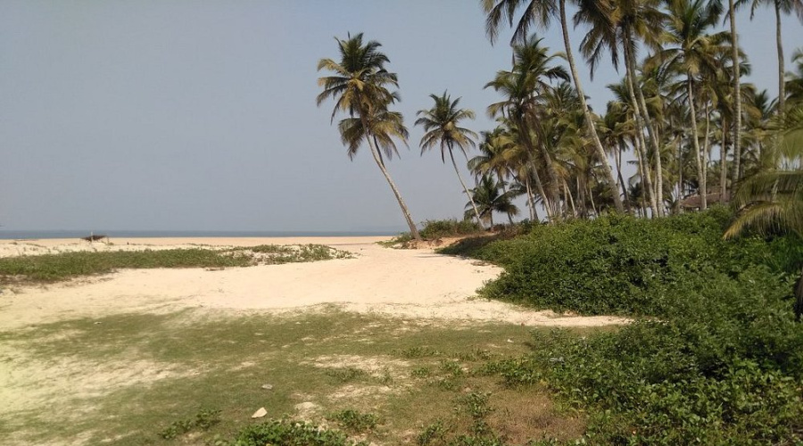 arossim beach