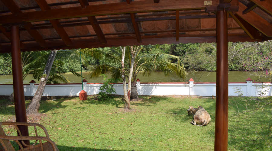 coconut lagoon resort